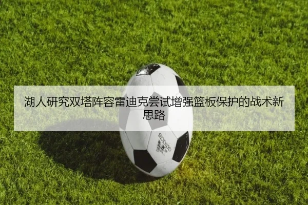 湖人研究双塔阵容雷迪克尝试增强篮板保护的战术新思路